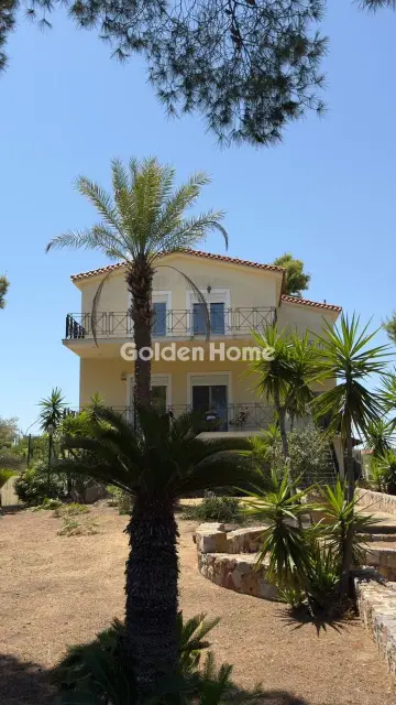 House 360m<sup>2</sup> for sale photo 5571628
