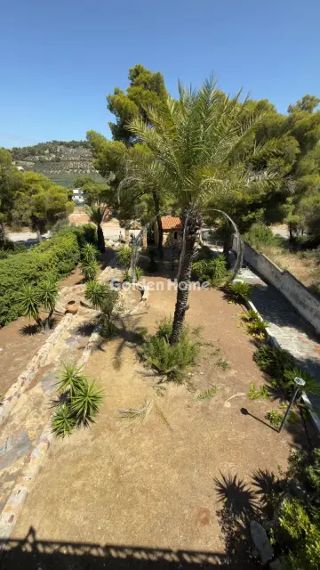 House 360m<sup>2</sup> for sale photo 5571711