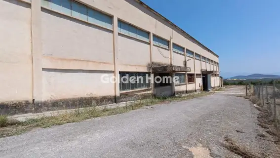 Industrial 10000m<sup>2</sup> for rent photo 5