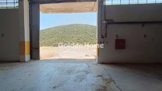 Industrial 10000m<sup>2</sup> for rent photo 10