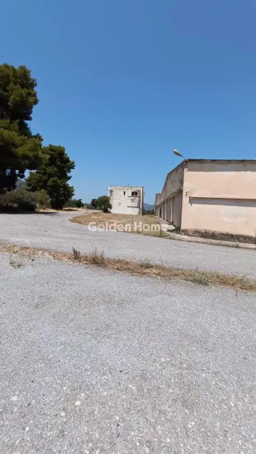 Industrial 10000m<sup>2</sup> for rent photo 8