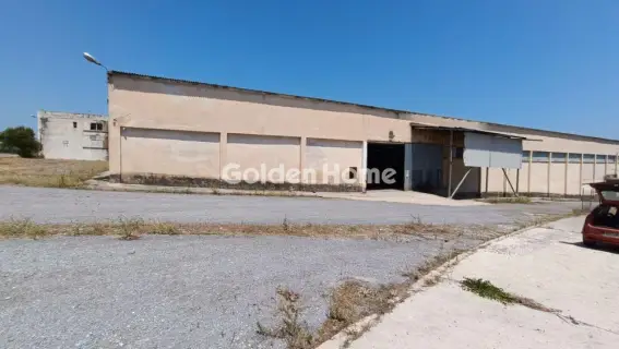 Industrial 10000m<sup>2</sup> for rent photo 15