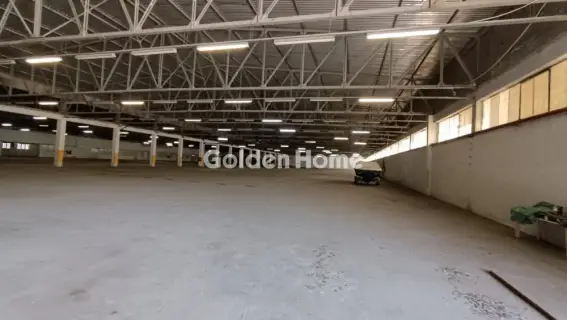 Industrial 10000m<sup>2</sup> for rent photo 16