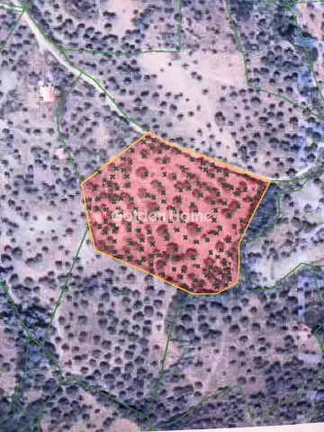 Residential 9890m<sup>2</sup> for sale photo 1