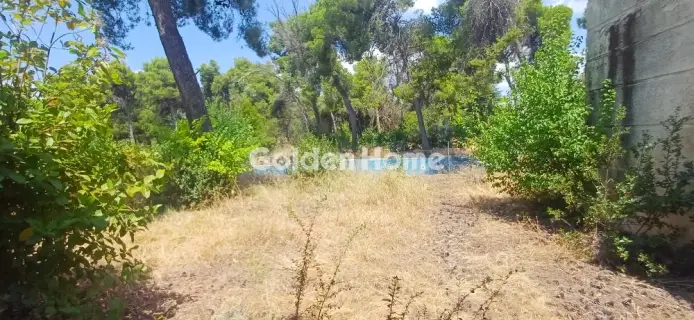 Μονοκατοικία 1043τ.μ. προς πώληση φωτογραφία 50