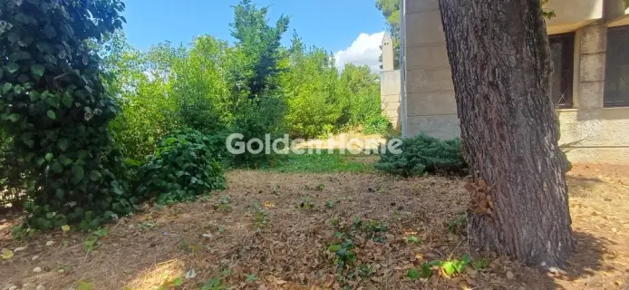 Μονοκατοικία 1043τ.μ. προς πώληση φωτογραφία 55