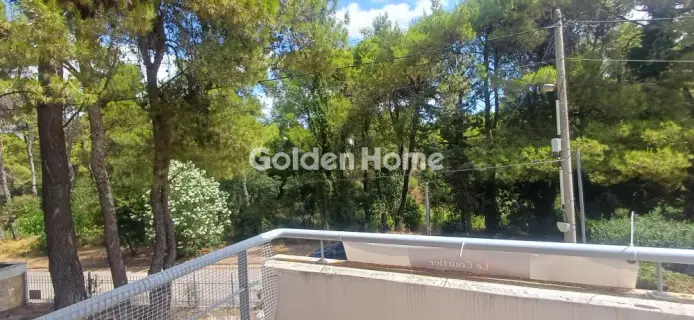 Maisonette Attached 257m<sup>2</sup> for sale photo 5573958