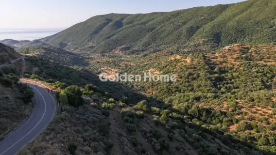 Residential 4629m<sup>2</sup> for sale photo 5581824