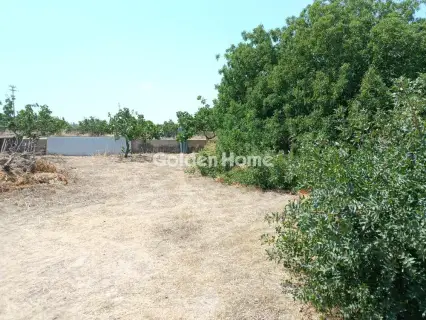 Residential 406m<sup>2</sup> for sale photo 4