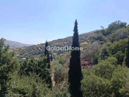 Μονοκατοικία 190τ.μ. προς πώληση φωτογραφία 29