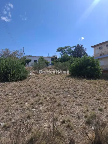 Residential 303m<sup>2</sup> for sale photo 5580725
