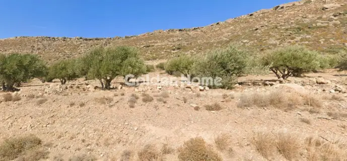 Οικιστικό 95000τ.μ. προς πώληση φωτογραφία 5634728