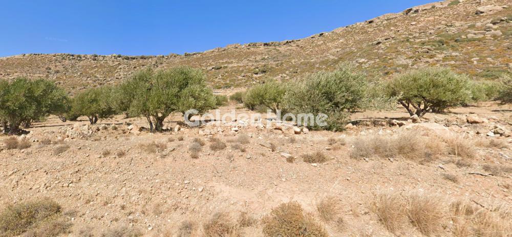 Οικόπεδο 95000τ.μ. προς πώληση φωτογραφία προβολής