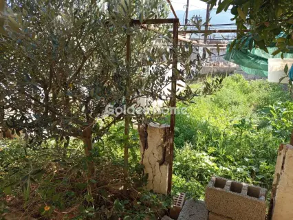 Μονοκατοικία 76τ.μ. προς πώληση φωτογραφία 11