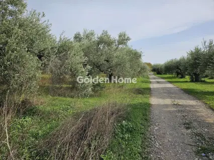 Αγροτεμάχιο 4950τ.μ. προς πώληση φωτογραφία 5577044