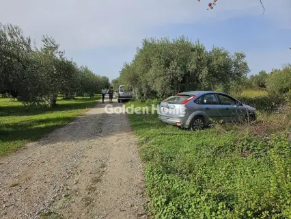 Αγροτεμάχιο 4950τ.μ. προς πώληση φωτογραφία 5577047