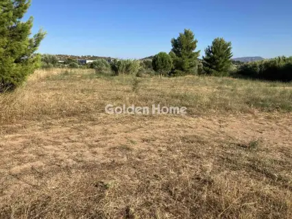 Residential 1309m<sup>2</sup> for sale photo 5581367