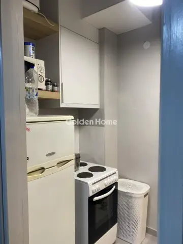 Γκαρσονιέρα 33τ.μ. προς πώληση φωτογραφία 15