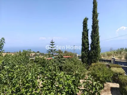 Μονοκατοικία 210τ.μ. προς ενοικίαση φωτογραφία 5597323