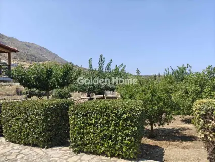 Μονοκατοικία 210τ.μ. προς ενοικίαση φωτογραφία 5597348