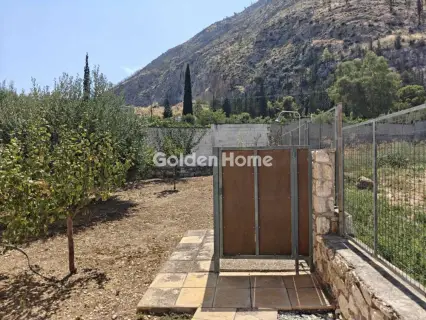 Μονοκατοικία 210τ.μ. προς ενοικίαση φωτογραφία 5597357
