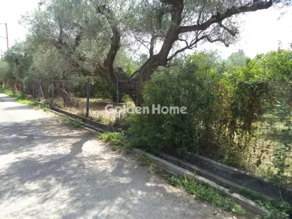 Residential 1000m<sup>2</sup> for sale photo 5581832