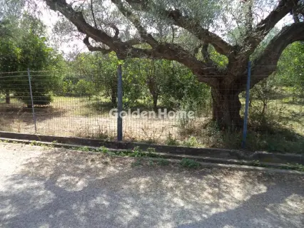 Parcel 5342m<sup>2</sup> for sale photo 5581834