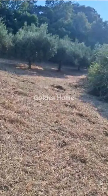 Αγροτεμάχιο 4665τ.μ. προς πώληση φωτογραφία 5607920