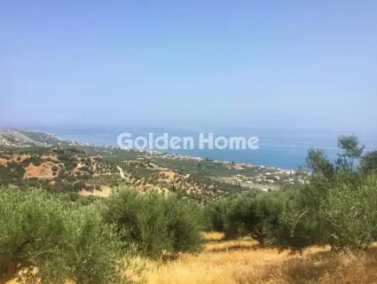 Residential 1768m<sup>2</sup> for sale photo 1