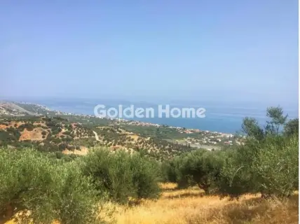 Οικιστικό 1768τ.μ. προς πώληση φωτογραφία 3