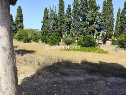Οικιστικό 540τ.μ. προς πώληση φωτογραφία 5608532