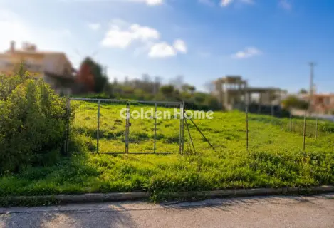 Professional Plot 740m<sup>2</sup> for rent photo 1