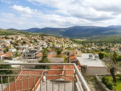 Μονοκατοικία 210τ.μ. προς ενοικίαση φωτογραφία 8