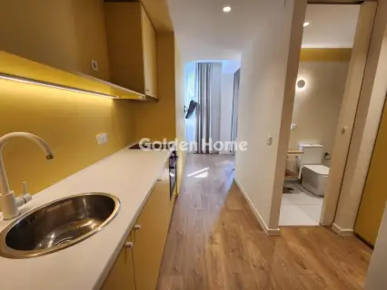 Studio 31m<sup>2</sup> for rent photo 5585337