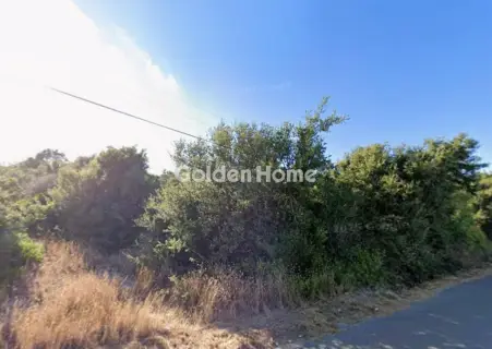 Αγροτεμάχιο 7500τ.μ. προς πώληση φωτογραφία 5603595