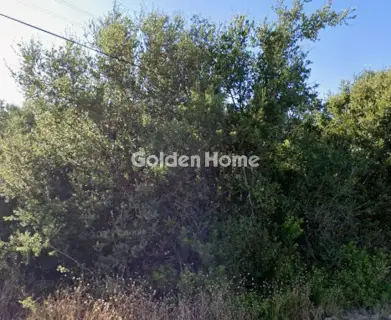 Αγροτεμάχιο 7500τ.μ. προς πώληση φωτογραφία 5603595