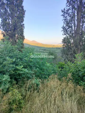 Οικιστικό 500τ.μ. προς πώληση φωτογραφία 5588268