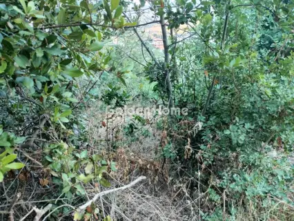 Οικιστικό 500τ.μ. προς πώληση φωτογραφία 5588269