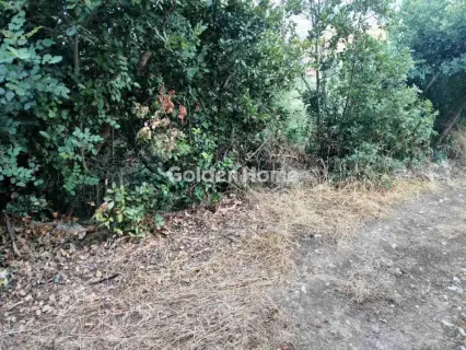 Οικιστικό 500τ.μ. προς πώληση φωτογραφία 5588269