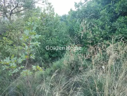 Οικιστικό 500τ.μ. προς πώληση φωτογραφία 5588271
