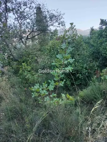 Οικιστικό 500τ.μ. προς πώληση φωτογραφία 5588272