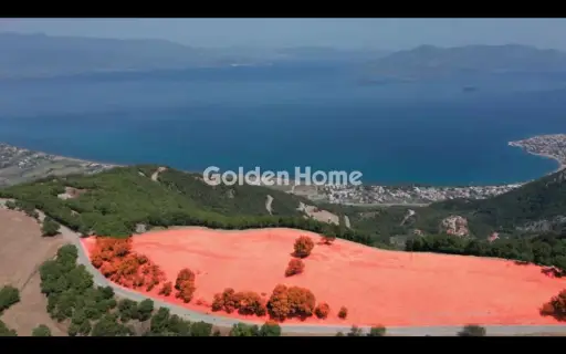 Οικιστικό 14000τ.μ. προς πώληση φωτογραφία 5590322