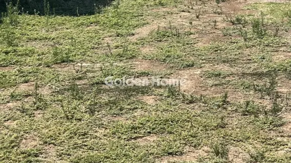 Οικιστικό 350τ.μ. προς πώληση φωτογραφία 5589598