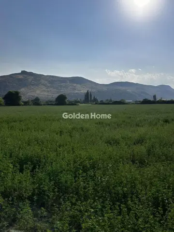 Αγροτεμάχιο 13400τ.μ. προς πώληση φωτογραφία 5589212