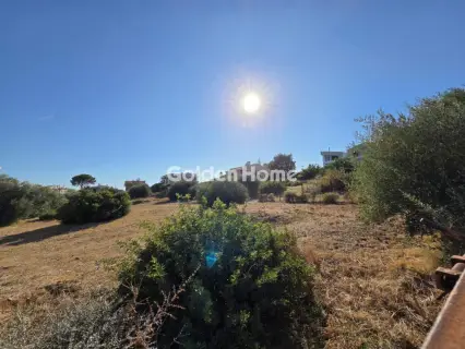 Οικιστικό 1127τ.μ. προς πώληση φωτογραφία 5