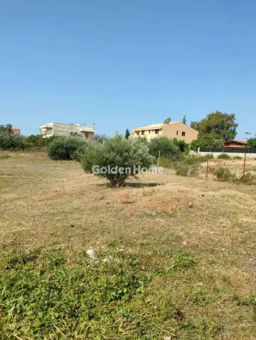 Οικιστικό 1127τ.μ. προς πώληση φωτογραφία 6