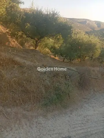 Αγροτεμάχιο 3500τ.μ. προς πώληση φωτογραφία 2