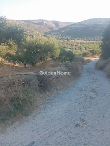 Αγροτεμάχιο 3500τ.μ. προς πώληση φωτογραφία 1