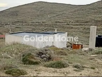 Οικιστικό 8596τ.μ. προς πώληση φωτογραφία 5