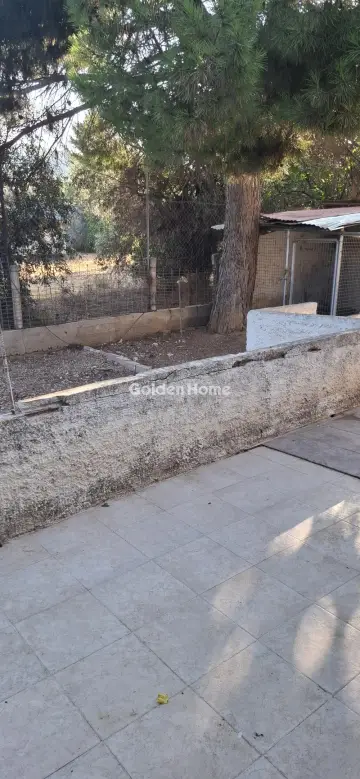 Μονοκατοικία 74τ.μ. προς πώληση φωτογραφία 5590273